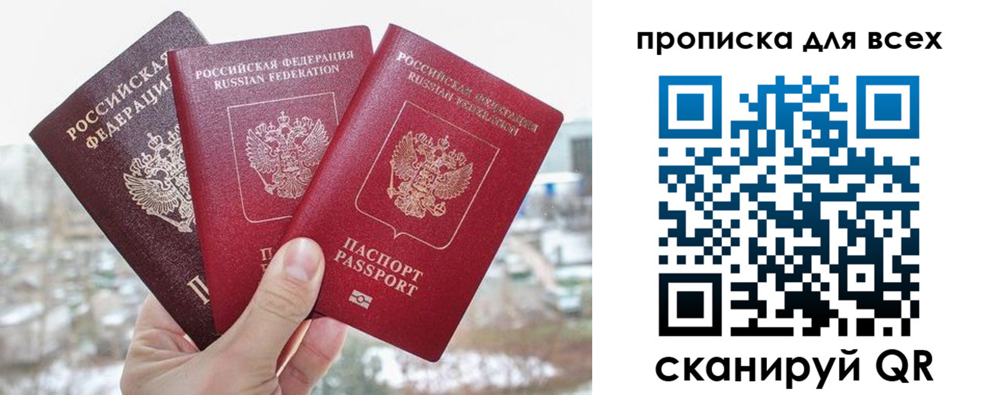 прописка гарантия в Туле